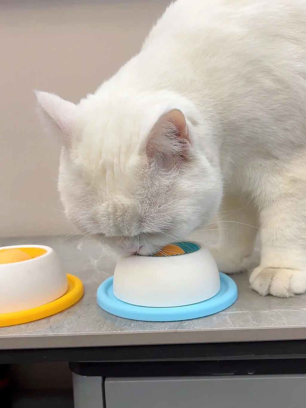 Slow-Feeder Lick Toy for Crates & Training