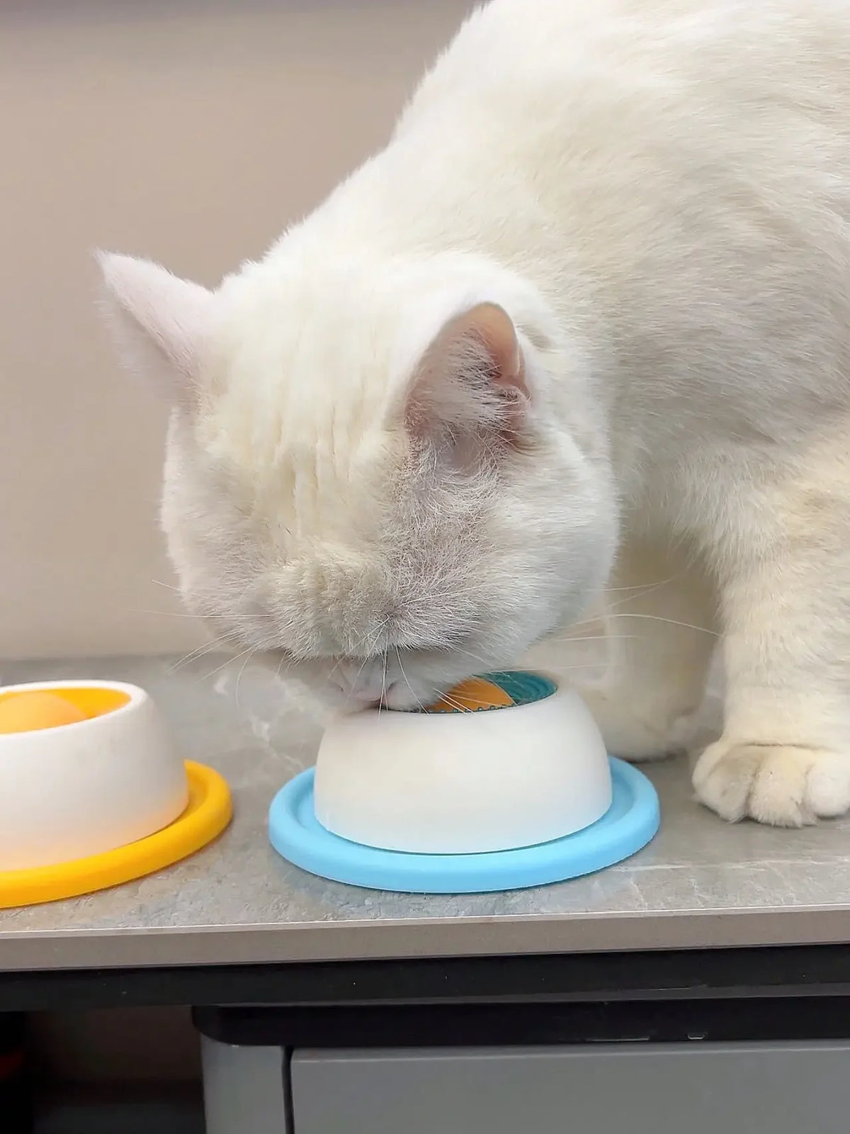 Slow-Feeder Lick Toy for Crates & Training